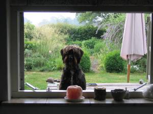 When God closes a door, he somewhere opens a window ...