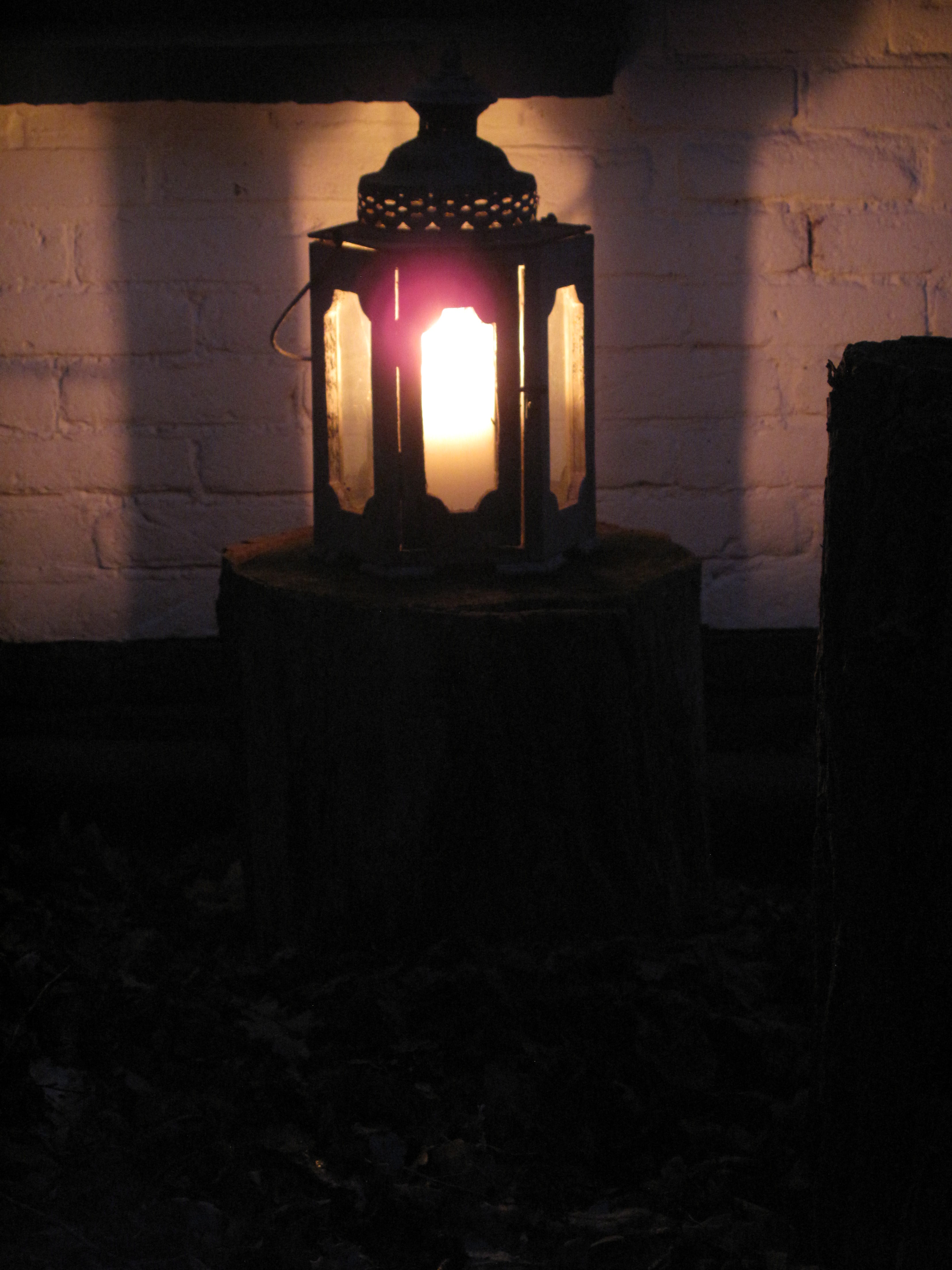 the moth and the flame