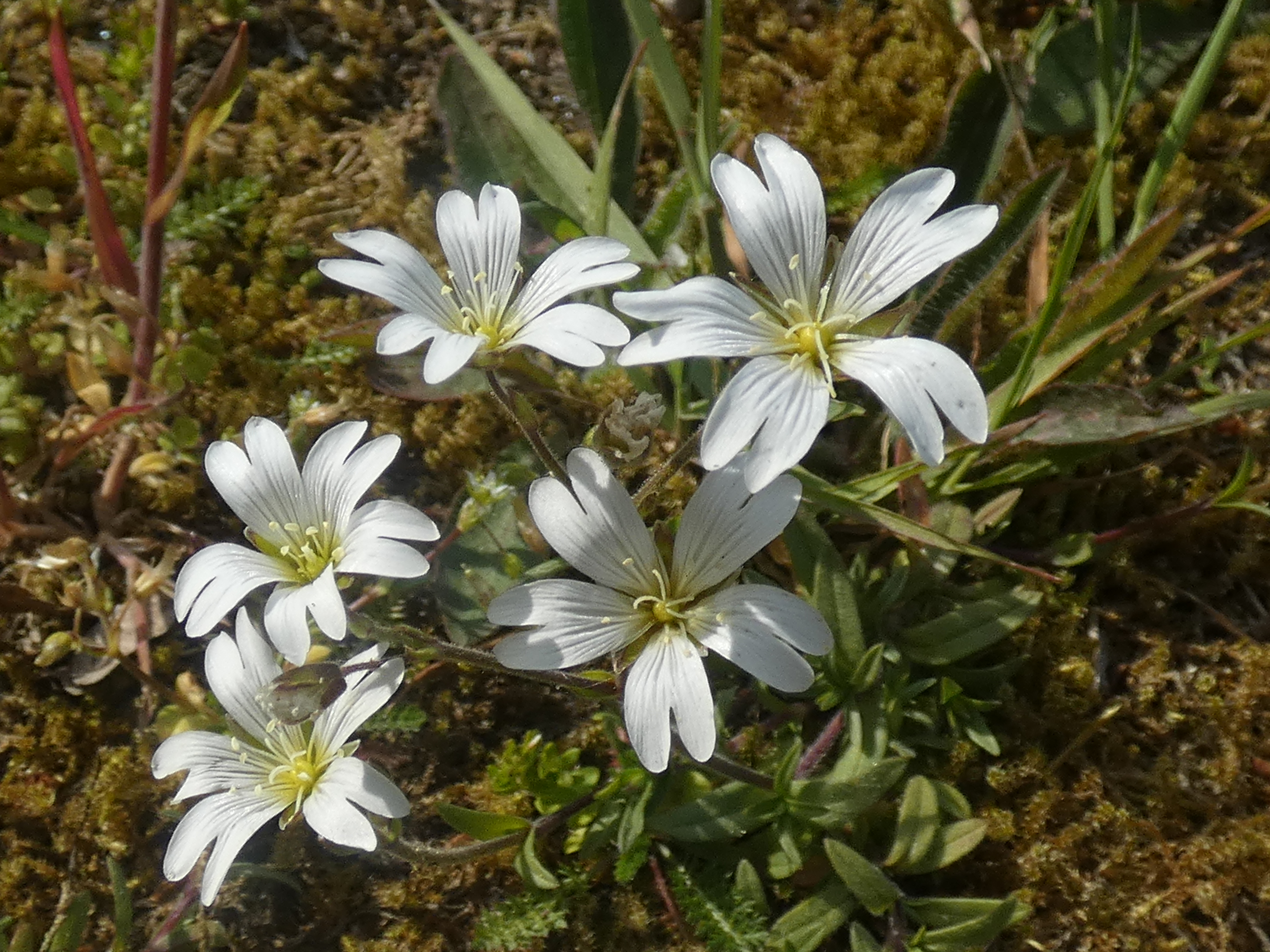 5FE616DC-B5A3-4DA1-BC3E-3D061CC6AFAE