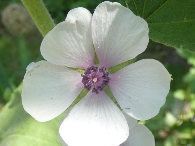 EFB4C1FA-3ADD-4062-ACD9-1DFFA251A997