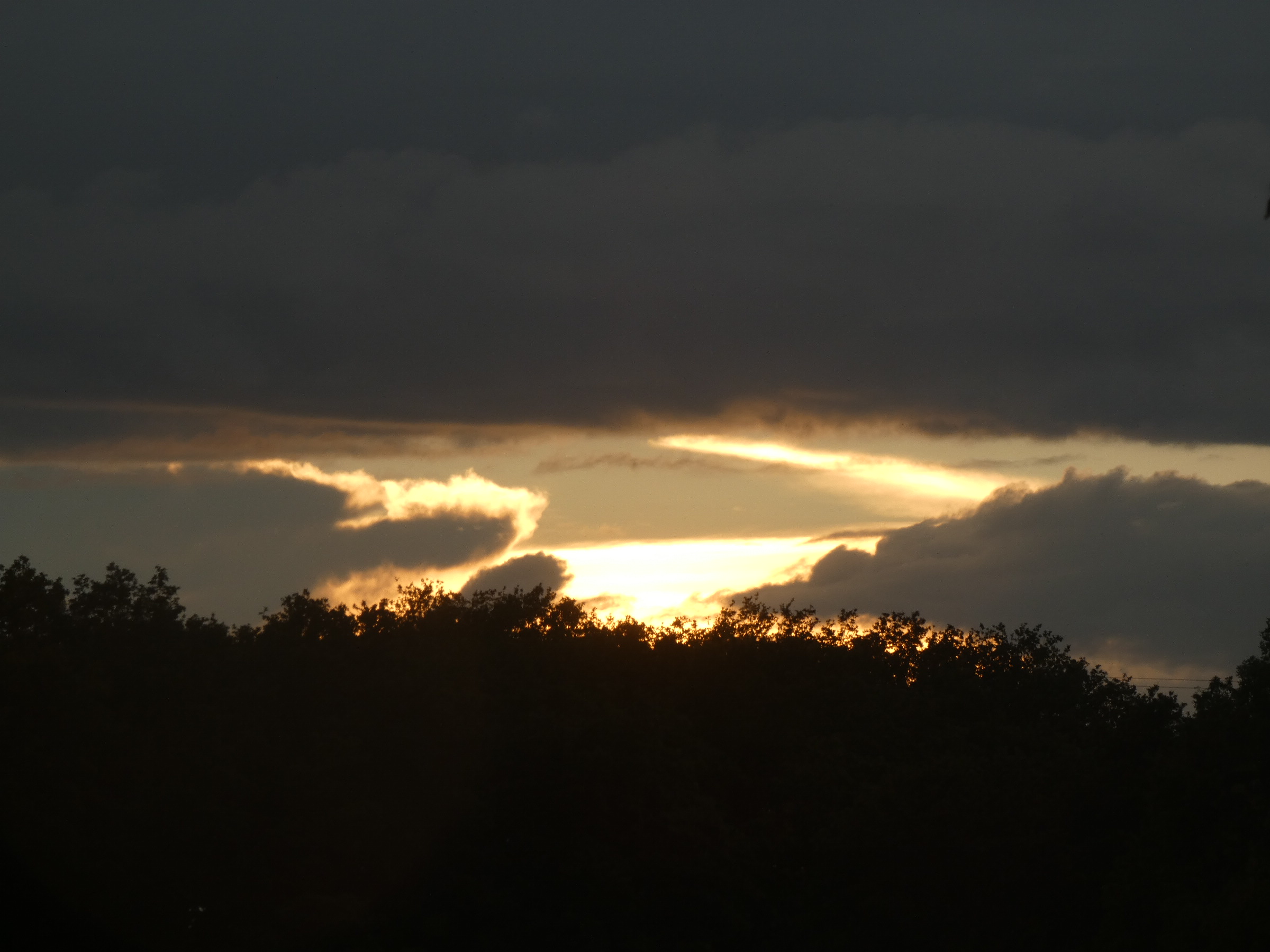 825F91EF-D116-48D1-B842-5A6C940AE4FA