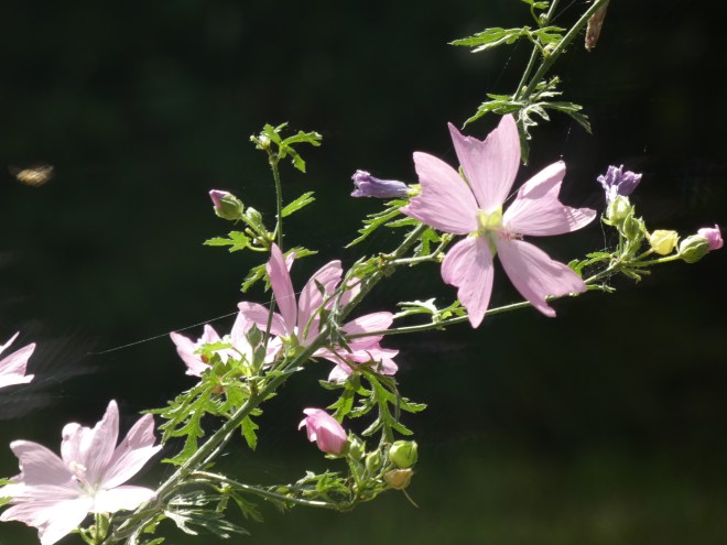 D43761B4-C102-49D3-8056-E778C4A93759