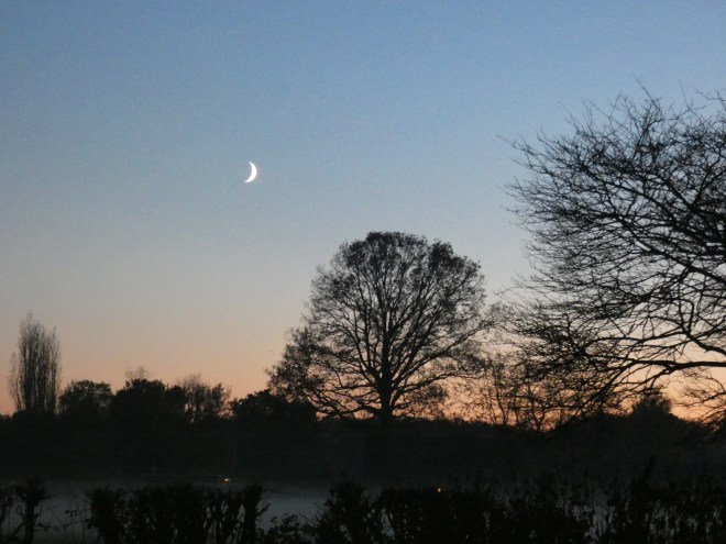 925E3BEC-3D14-4F48-89A4-A0D70EB007D5