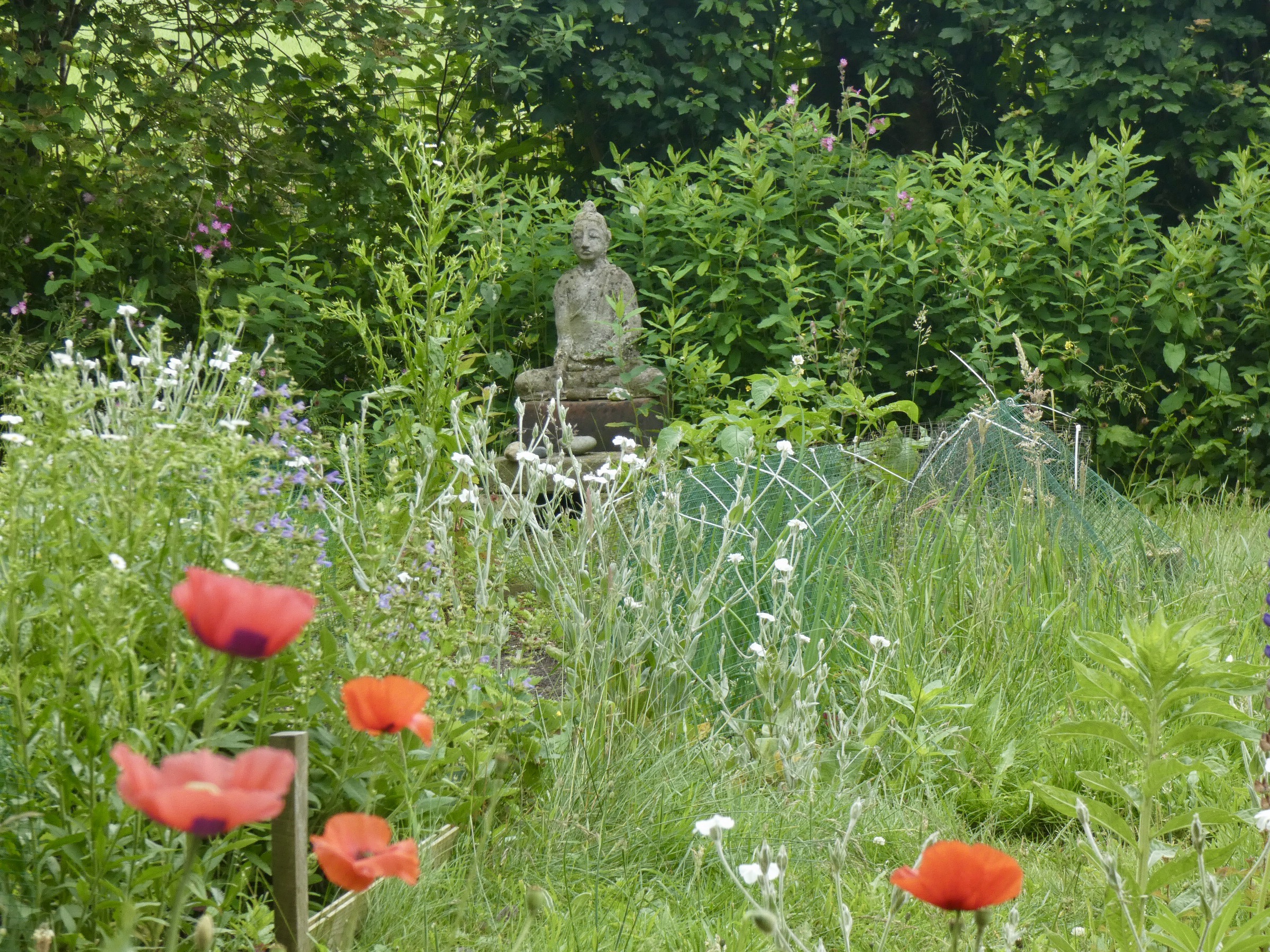 F48CC5ED-190F-432C-8642-7ACA1217BD95_1_201_a